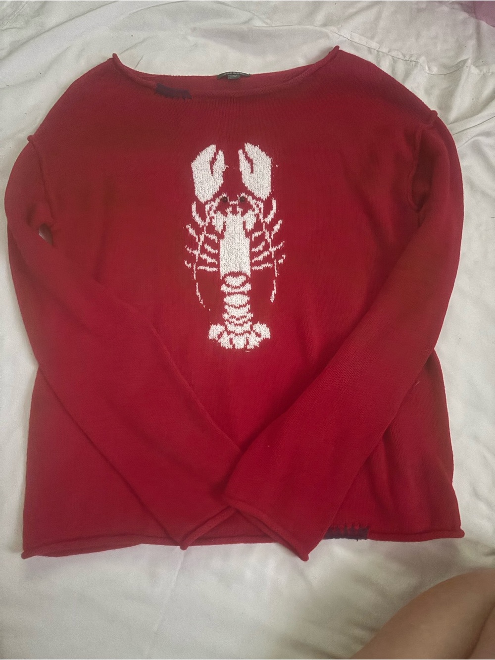 wild fable Red Crewneck Sweater with White Lobster Graphic